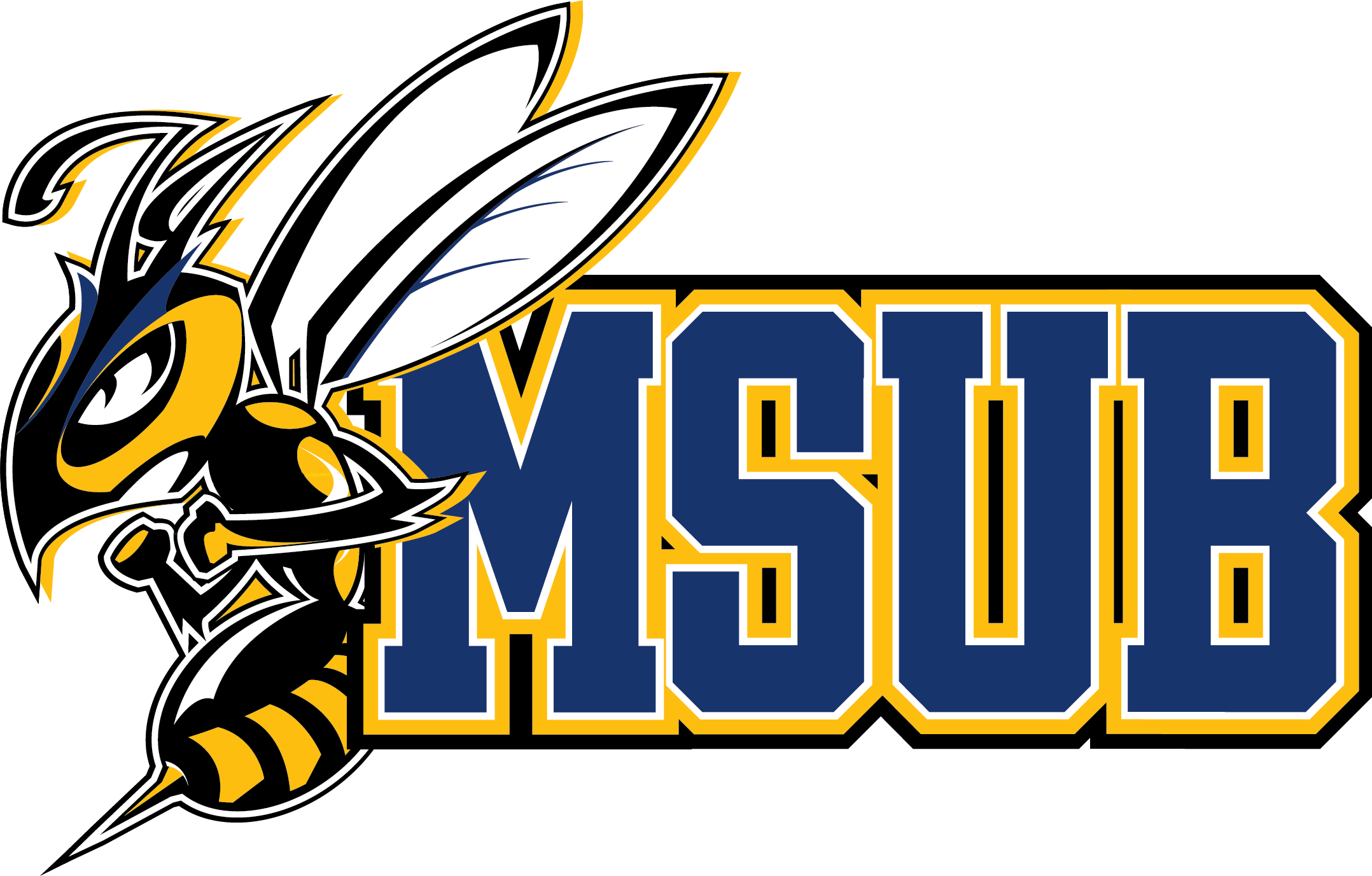 Montana State University Billings (MSU Billings)